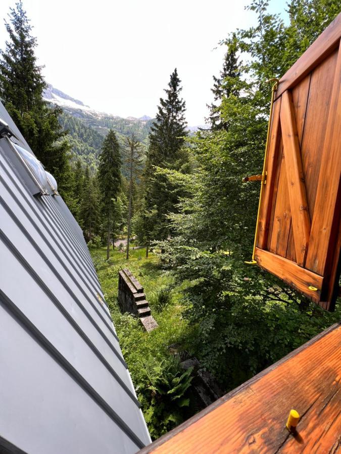 ~Chalet_Rifugio Tra I Boschi~ Sella Nevea Kültér fotó