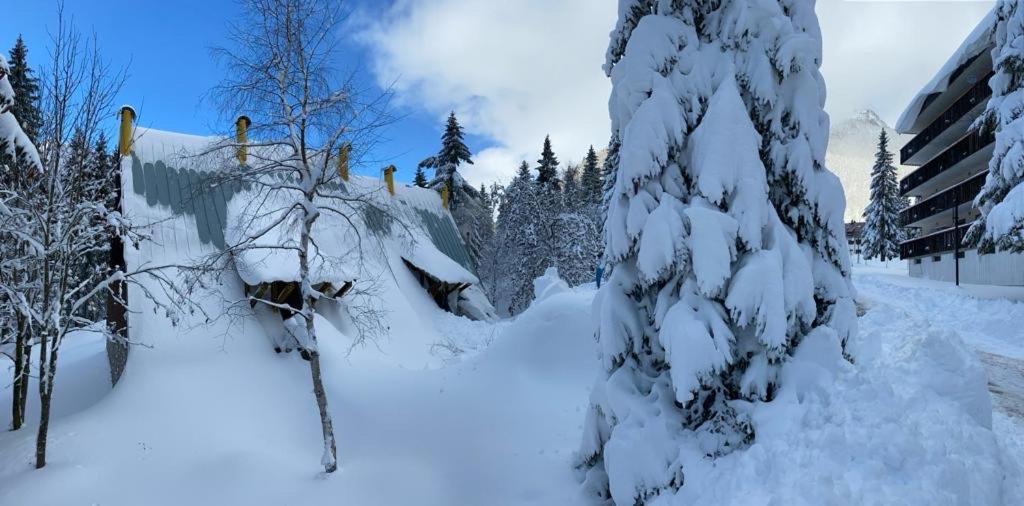 ~Chalet_Rifugio Tra I Boschi~ Sella Nevea Kültér fotó