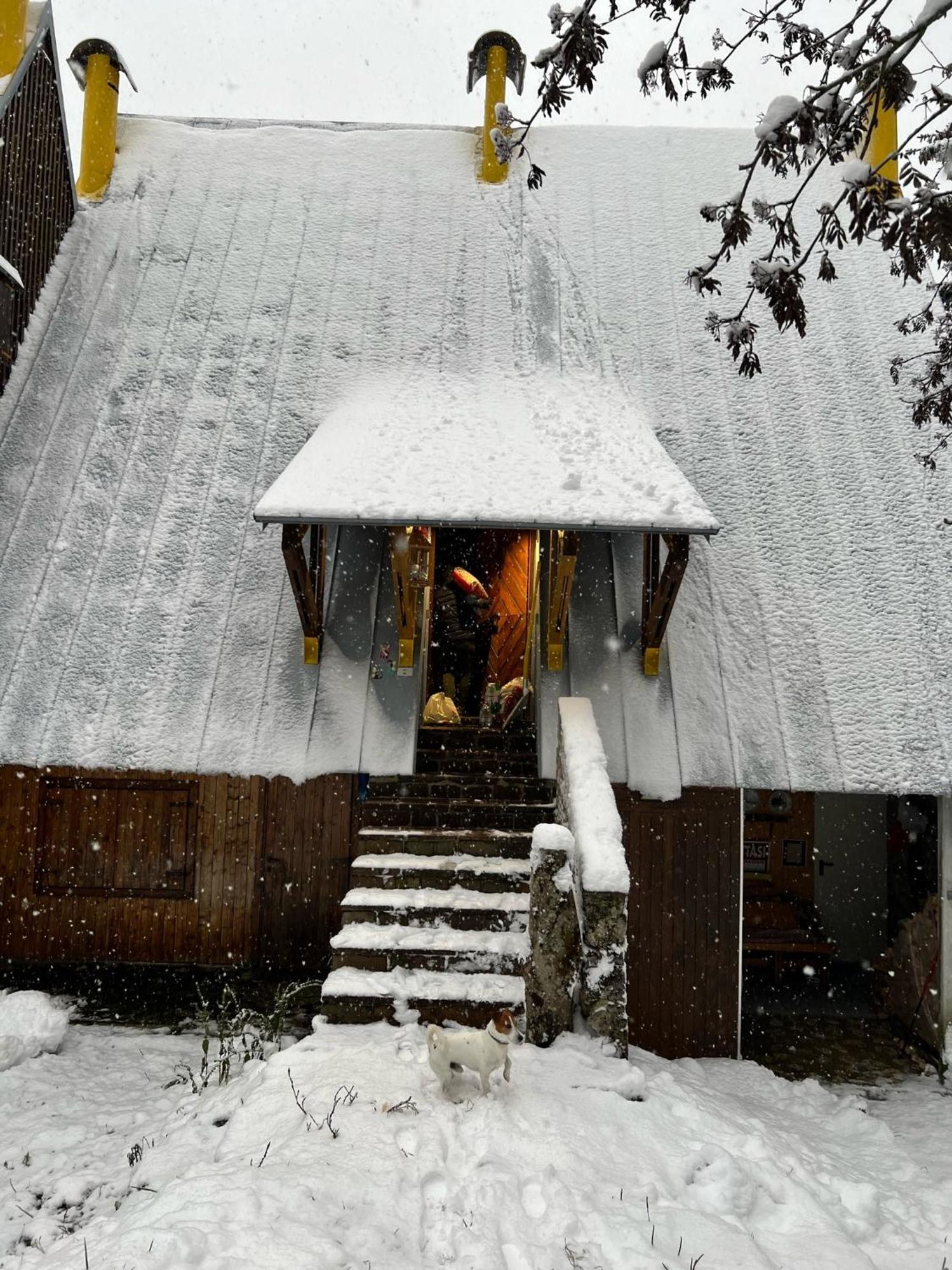 ~Chalet_Rifugio Tra I Boschi~ Sella Nevea Kültér fotó