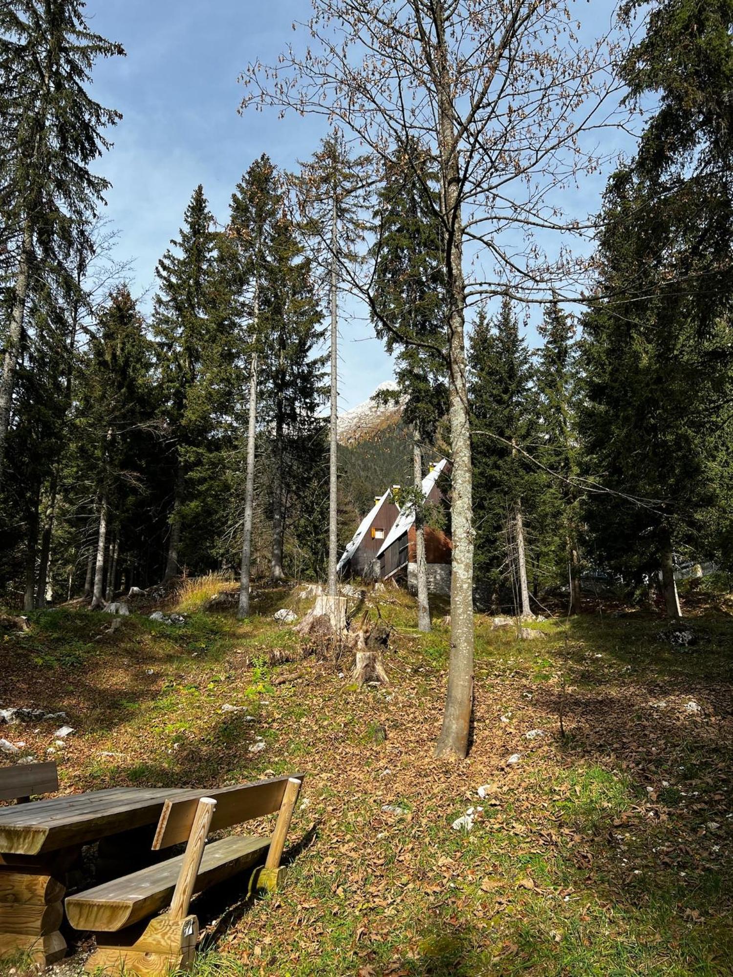 ~Chalet_Rifugio Tra I Boschi~ Sella Nevea Kültér fotó