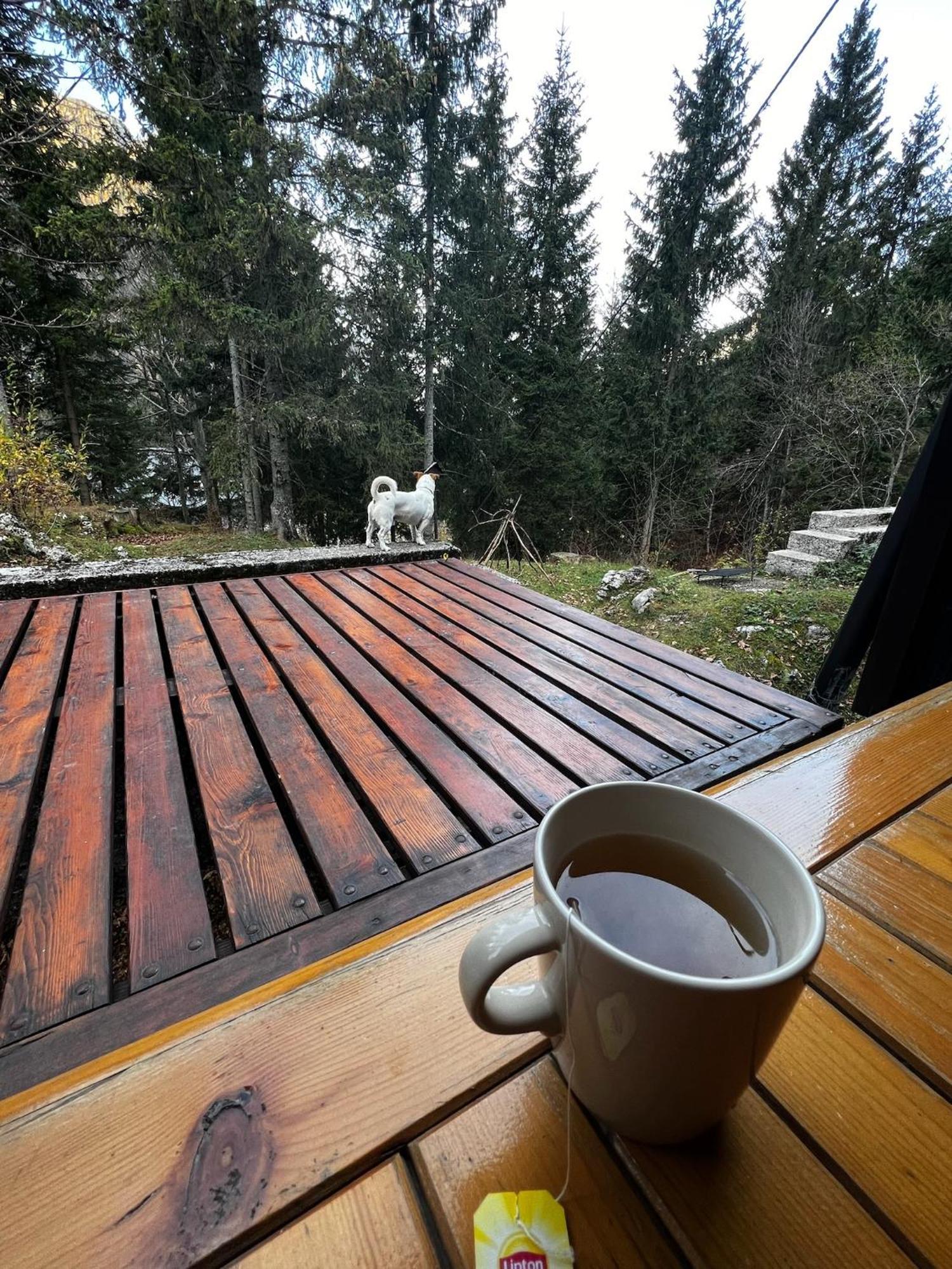 ~Chalet_Rifugio Tra I Boschi~ Sella Nevea Kültér fotó