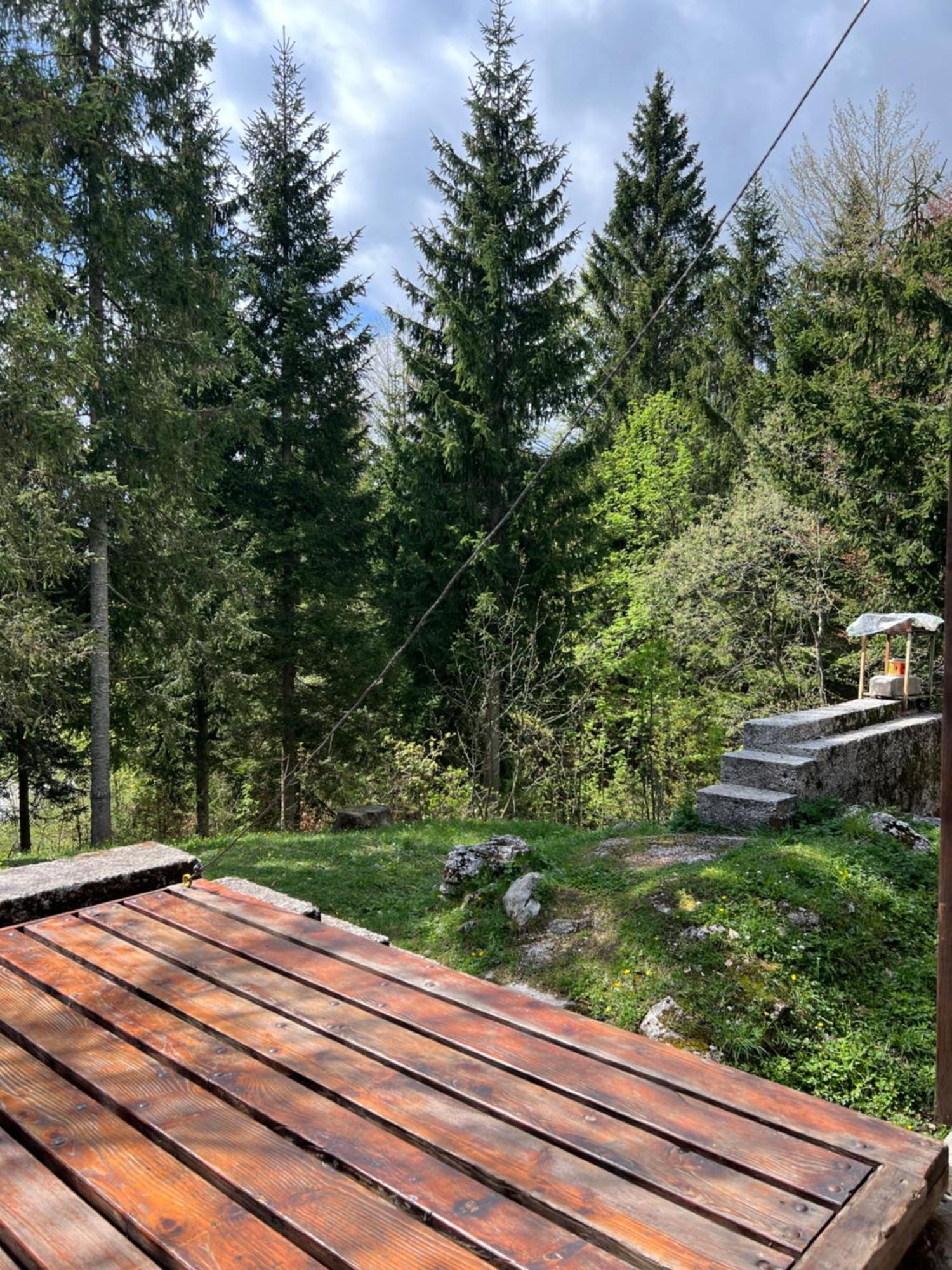 ~Chalet_Rifugio Tra I Boschi~ Sella Nevea Kültér fotó